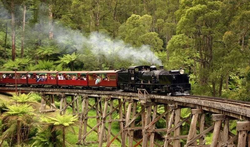 dandenong puffing billy tour